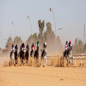 20 فائزًا خلال حفل السباقات السابع بميدان فروسية الجوف