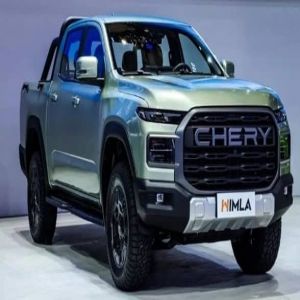 شيري تزيح الستار عن سيارتها البيك أب الجديدة