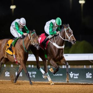 نادي سباقات الخيل ينظم منافسات الأسبوع الخامس عشر من موسم سباقات الرياض