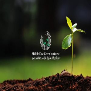 بمشاركة 31 دولة.. انطلاق أعمال الدورة الثانية للمجلس الوزاري لمبادرة الشرق الأوسط الأخضر بعد غدٍ بجدة