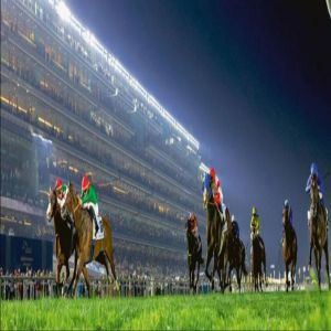 مضمار ميدان يحتفي برأس السنة الصينية وعام الحصان