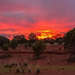 أستراليا: موجة حر قياسية قد ترفع الحرارة إلى 50 درجة