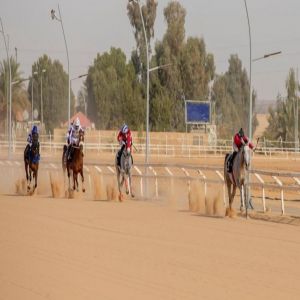 ميدان فروسية الجوف يتوج الفائزين في حفل السباقات الثامن