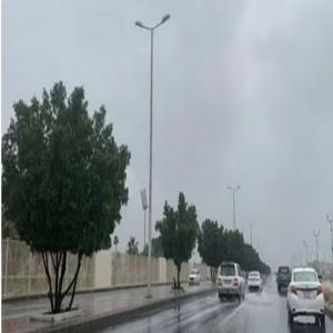 الأرصاد.. فرصة مهيأة لأمطار رعدية ورياح نشطة وتكوّن ضباب على عدة مناطق