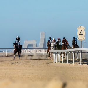 ميدان فروسية الجبيل يقيم سباقه الثامن للموسم الحالي 1447هـ