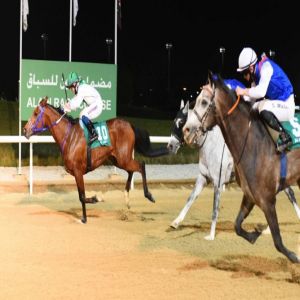 9 أشواط مثيرة تجمع النخبة والمبتدئة في ثامن سباقات مضمار العين