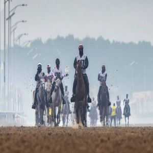 الخيول العربية تتنافس على لقب سباق القدرة بالوثبة