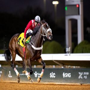 اختتام منافسات الأسبوع (16) من موسم سباقات الرياض استعدادًا لكأس السعودية 2026