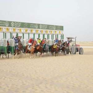 ميدان فروسية الأحساء يقيم سباقه الرابع عشر