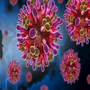 إندونيسيا تحذر من انتشار فيروس "نيباه" من الطيور المهاجرة والخفافيش