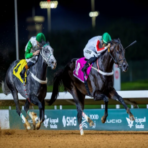 ميدان فروسية حائل ينظم سباقه العاشر