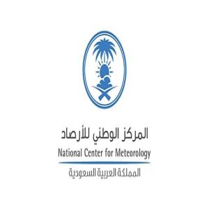 الأرصاد ... أمطار رعدية مصحوبة بزخات من البرد ورياح نشطة