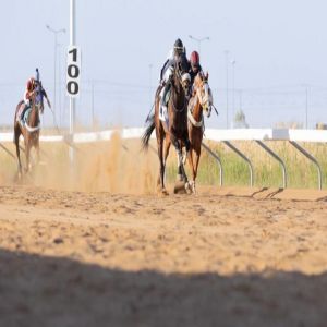 الجواد "فردا الشيحانية" يتوّج بكأس الحفل الرابع عشر بميدان الملك سعود للفروسية بالقصيم