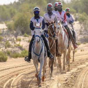 سباق كأس رئيس الدولة للقدرة يشعل الحماس في قرية الوثبة