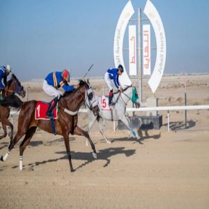 ميدان فروسية الجبيل يقيم سباقه التاسع للموسم الحالي 1447هـ
