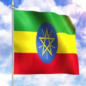 إثيوبيا تتهم إريتريا بشن عدوان عسكري ودعم جماعات مسلحة