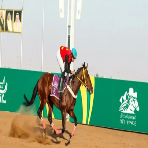 "الاثنين".. ميدان فروسية حائل يقيم حفل سباقه الحادي عشر