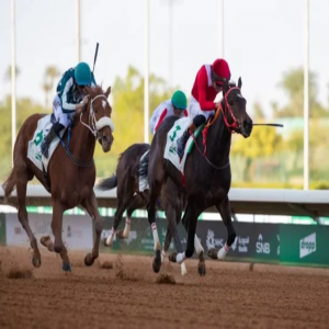 الحرابي يكشف جاهزية "أميرة الزمان" قبل كأس السعودية