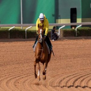 كأس السعودية.. جاكوبسون لا يُبدي أيّ مخاوف قبل السباق الكبير