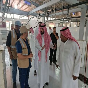 "بيئة المدينة المنورة" تُطلق الخطة التشغيلية لأسواق النفع العام والمسالخ خلال شهر رمضان