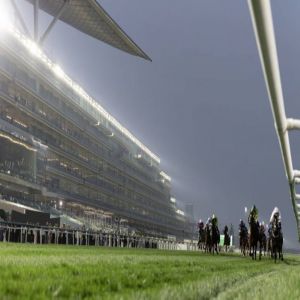 116 خيلاً في الأمسية الـ12 لكرنفال سباقات دبي