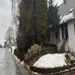 ألمانية تخفي جثة والدتها 10 سنوات للاستيلاء على معاش تقاعدي يبلغ 1500 يورو شهرياً