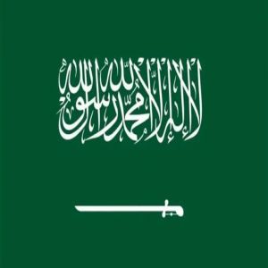 المملكة تنضم إلى الشراكة العالمية للذكاء الاصطناعي (GPAI)