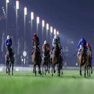 ثنائية لخيول حمدان بن محمد في مضمار ميدان