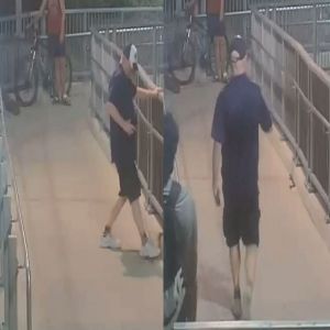 ثعبان سام يثير الذعر في محطة ريفرستون بسيدني