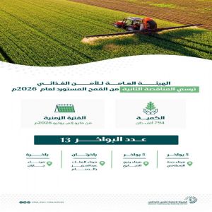 الهيئة العامة للأمن الغذائي ترسي الدفعة الثانية من القمح المستورد لعام 2026