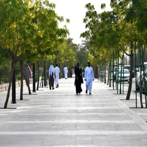 هيئة تطوير منطقة المدينة المنورة تعزز جودة الحياة عبر مسارات المشاة والدراجات