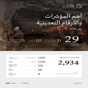 "وزارة الصناعة" تصدر 29 رخصة تعدينية جديدة خلال شهر يناير 2026