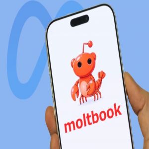 ميتا تستحوذ على Moltbook.. شبكة اجتماعية غريبة مخصّصة لروبوتات الذكاء الاصطناعي