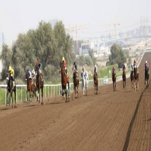 تألق «موهوب» و«رماس» في الأمسية العاشرة للمضمار الأصفر