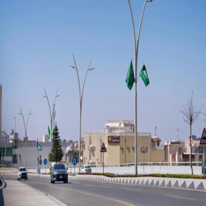 أمانة الباحة تزيّن الميادين والطرق بأكثر من 20 ألف علم احتفاءً بيوم العلم