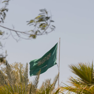 الحدود الشمالية تكتسي بالأخضر احتفاءً بـ"يوم العلم"