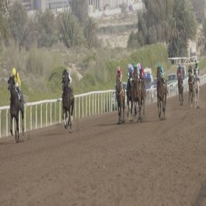 مضمار جبل علي يودع موسمه بـ 7 سباقات في الأمسية الختامية