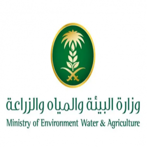 "بيئة المدينة المنورة" تنفّذ أكثر من (3) آلاف جولة رقابية في الأسواق والمسالخ خلال شهر رمضان