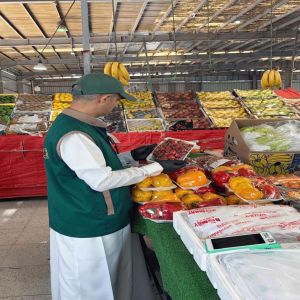 بيئة عسير تنفذ 348 جولة رقابية على الأسواق ومنشآت النفع العام