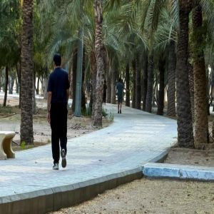 أمانة نجران تُهيّئ الحدائق والمتنزهات لاستقبال الزوّار والمتنزهين خلال إجازة عيد الفطر
