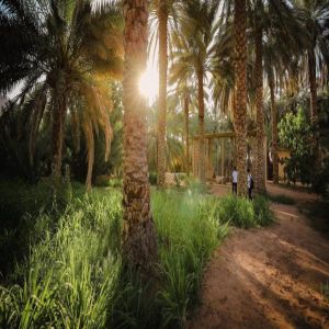 العُلا تتهيأ لعيد الفطر بفعاليات ومواقع احتفالية تمتد لثلاثة أيام