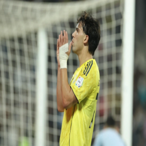 يونايتد يخطط لضم جواو فيليكس لاعب النصر