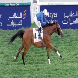 خيول الإمارات تبحث عن إنجاز جديد في كأس دبي العالمي