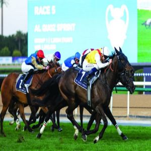 الجواد «نيتف أبروتش» يبهر العالم ويتوج بلقب «القوز سبرنت»