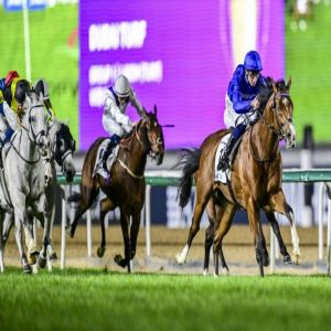 «ميدان» يستضيف «السباق التجريبي» الختامي للخيول العربية غداً