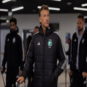 الضغوط تتصاعد على رينار بعد سقوط جديد للأخضر أمام صربيا