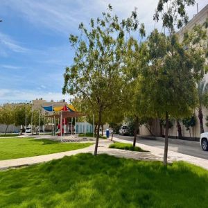 أمانة الشرقية تنفّذ أعمالًا تنموية في محافظة القطيف خلال الربع الأول 2026