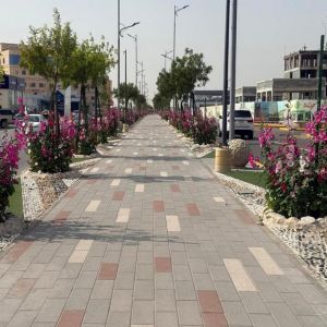 أمانة الشرقية تنجز أعمال التشجير وتطوير المساحات الخضراء في بقيق