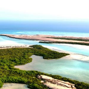 جزيرة "زُفاف".. لؤلؤة فرسانية تختزن أسرار البحر الأحمر