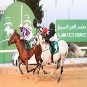 مضمار العين يسدل الستار على موسمه بـ 10 أشواط مثيرة